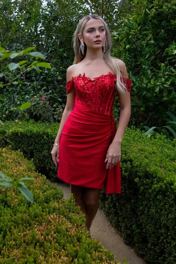 Red Butterfly Corset