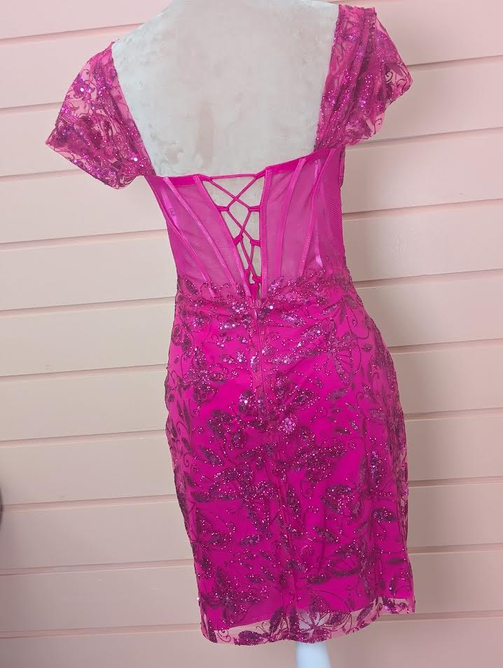 Pink Corset Butterfly Dress
