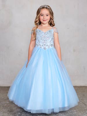 Butterfly Princess Ball Gown