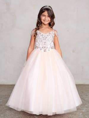 Butterfly Princess Ball Gown