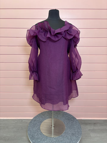 Plum knee-length Dress