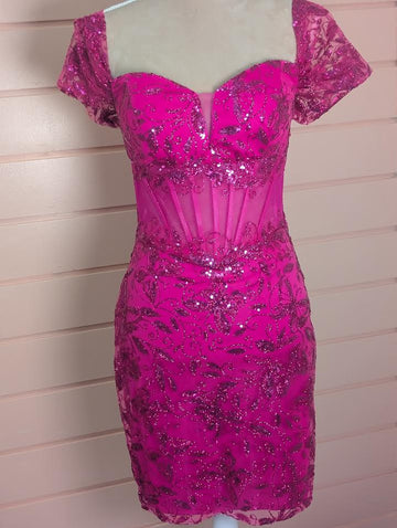 Pink Corset Butterfly Dress