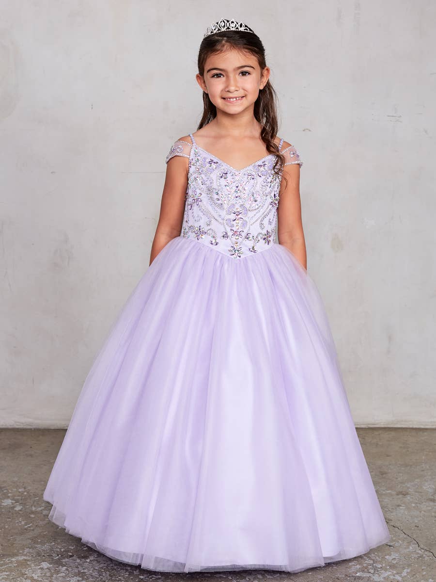 Butterfly Princess Ball Gown